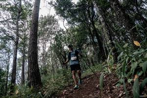 BIB: 
                            <button type="button" onclick="openModal(22792100)" class="btn btn-primary btn-sm float-right btn-popup" data-toggle="modal" data-target=".modal-high-quality">
                        <i class="fas fa-shopping-cart"></i> Add to Cart
                    </button>
                                            <button type="button" onclick="isThisMe(22792100, true)" class="btn btn-success btn-sm float-right btn-popup btn-isme hidden" data-toggle="tooltip" data-placement="bottom" title="นี่คือรูปของคุณใช่ไหม คลิกที่นี่เพื่อเอาเข้าอัลบั้ม">
                        <i class="fas fa-plus"></i> Add to album
                    </button>
                    <button type="button" onclick="isThisMe(22792100, false)" class="btn btn-warning btn-sm float-right btn-popup btn-isnotme hidden">
                        <i class="fas fa-ban"></i> Remove from album
                    </button>